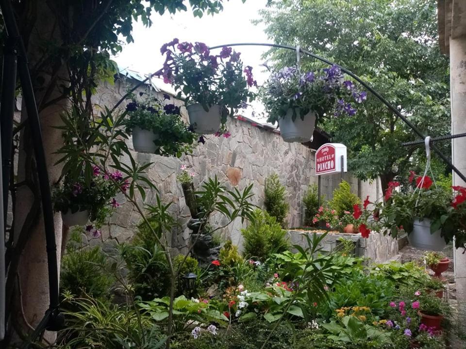 Pancho Family Hotel Kranevo Exteriör bild